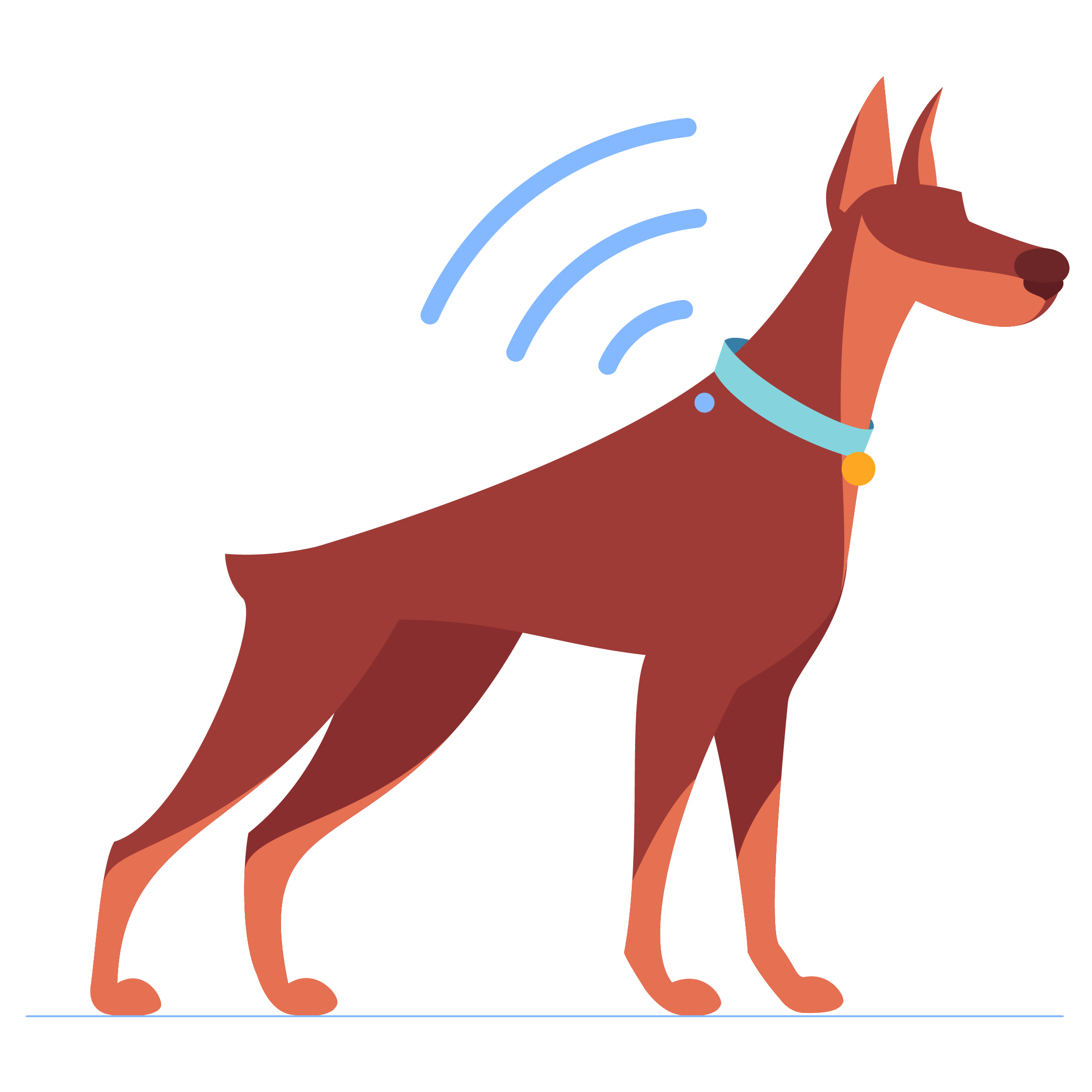 Website graphics-15 microchip-dog