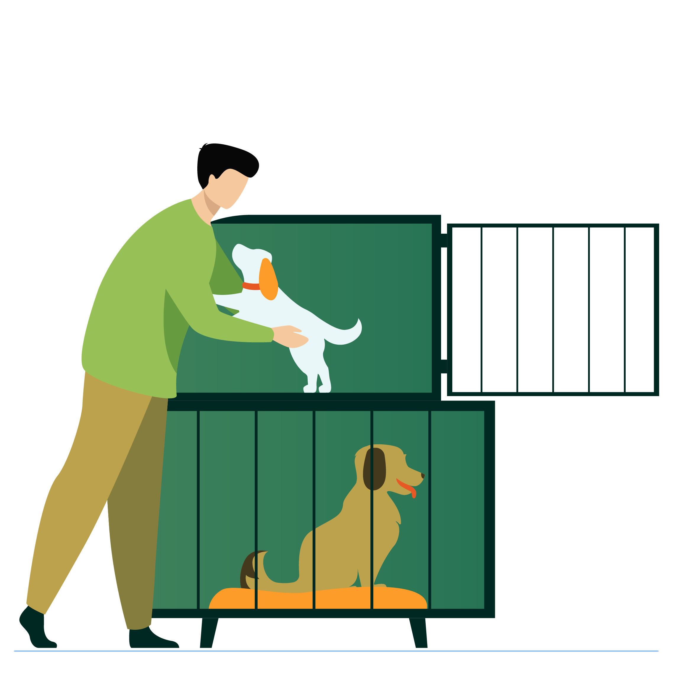 Website graphics-01-01 dog-warden