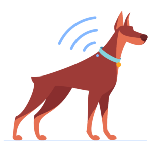 Website graphics-15-01 dog-microchip