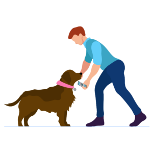 Website graphics-31-01 connect-dog