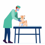 Website graphics-03-01 microchip-search