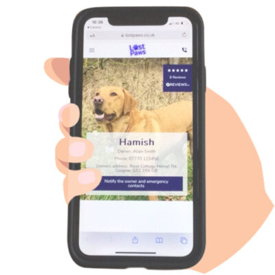 lost-paws-phone-image